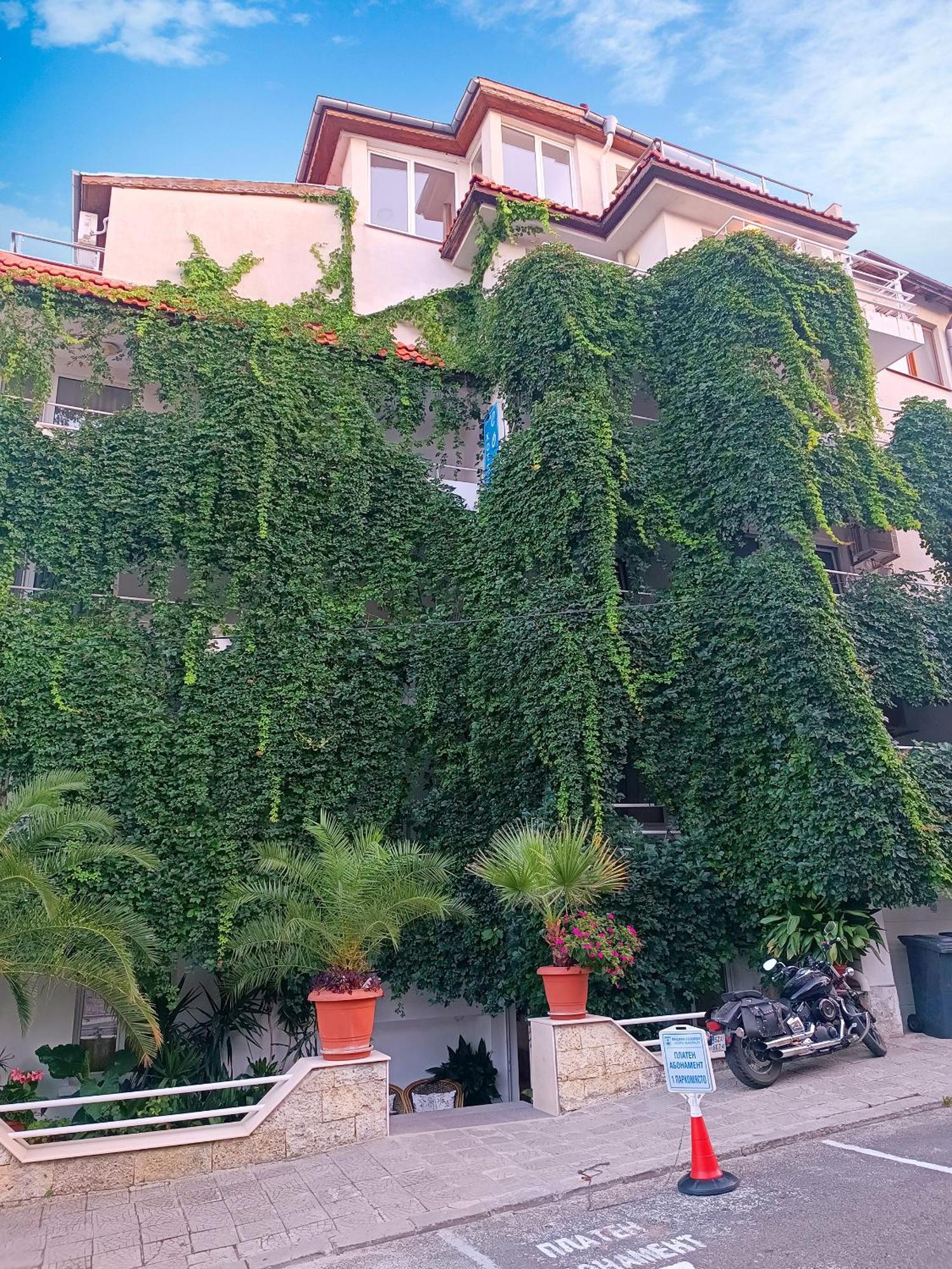 索菲家庭酒店 索佐波尔 外观 照片